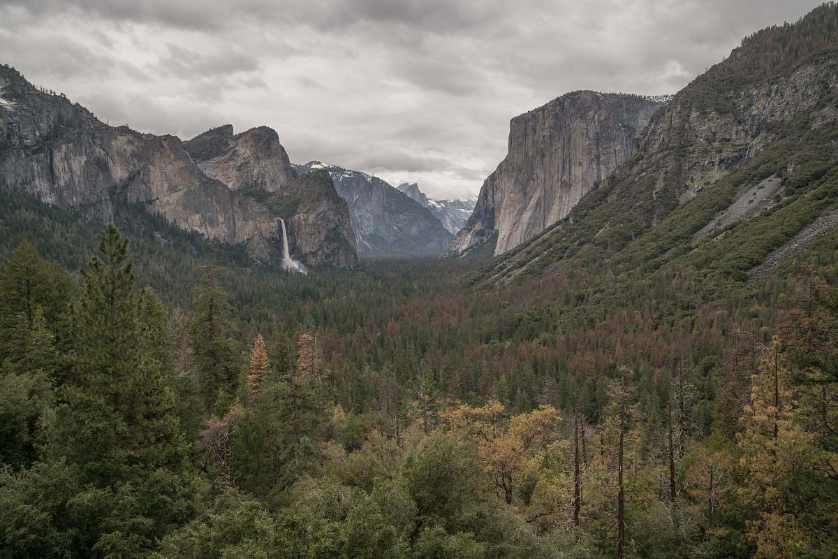 yosemite national park aerial photo of jungle mountain range